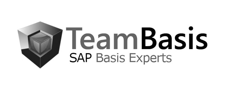 Team Basis